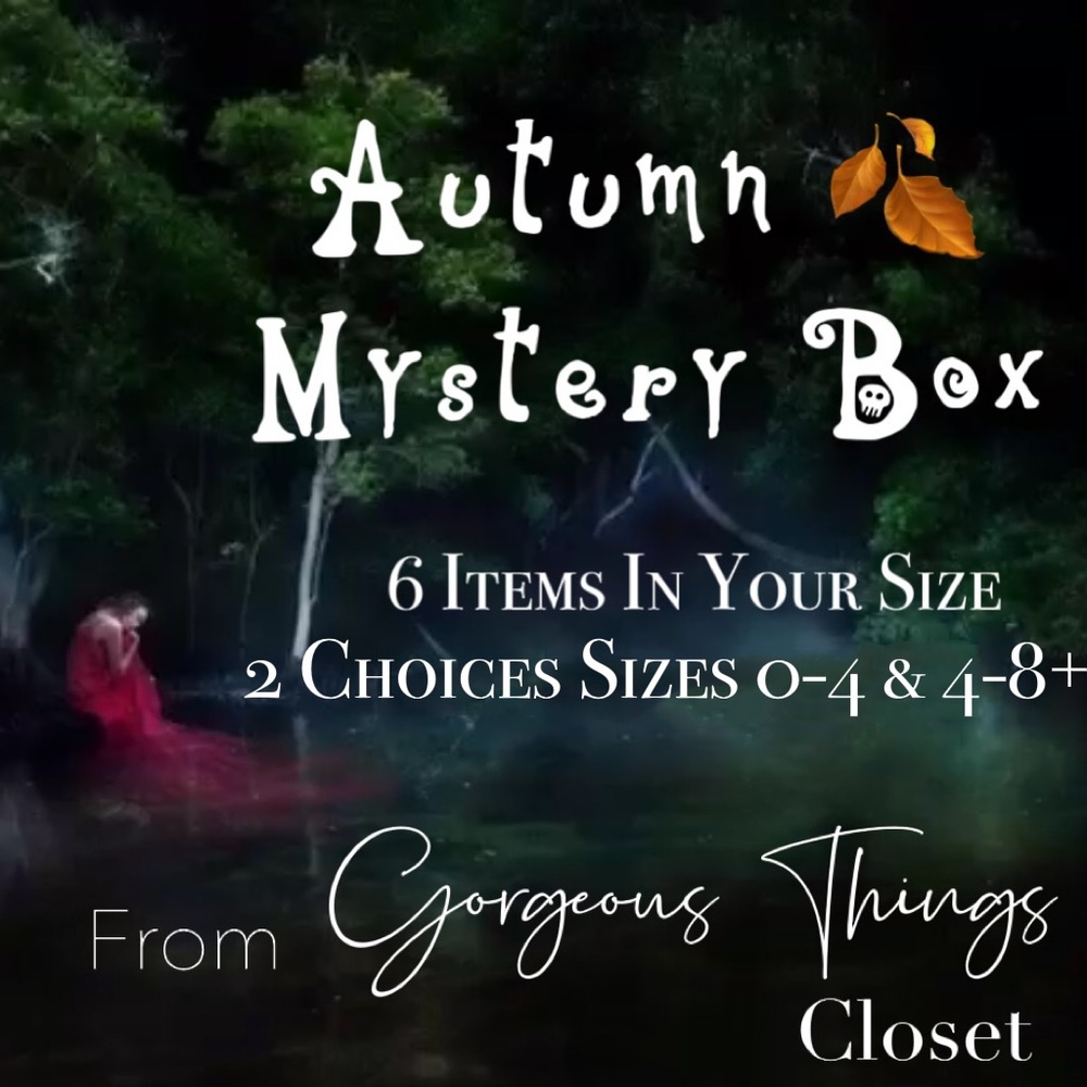 6X$10 BOX AUTUMN MYSTERY OF 6 Quality Clothing Pieces in Your Size! 0-8+ Sizes